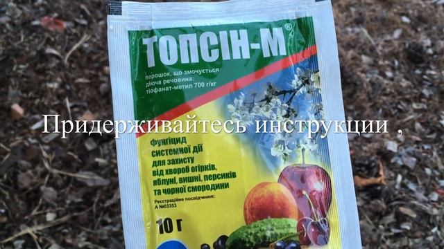 ❣️ Спасение Брусники ❣️ смотреть онлайн