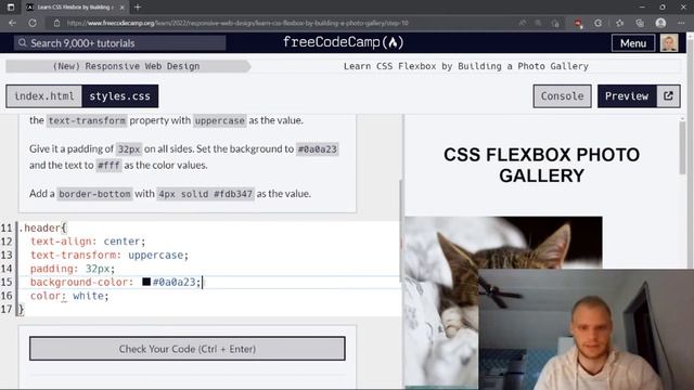 FreeCodeCamp Build a Photo Gallery смотреть онлайн