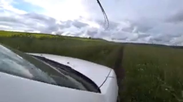 №3 Рыбалка. Ловля карасей и удивительная ящерица! смотреть онлайн