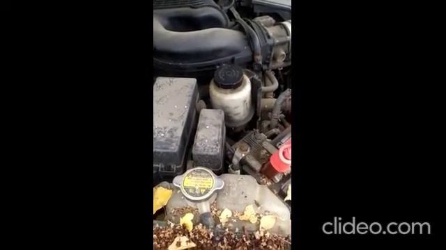 Ниссан Патфайндер 2005 года за 420 т.р. Бинго!!! смотреть онлайн