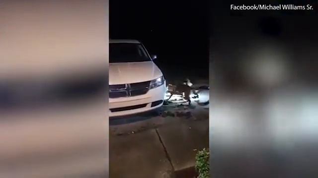 Pit bull tries to rip off the bumper of a brand new car. смотреть онлайн