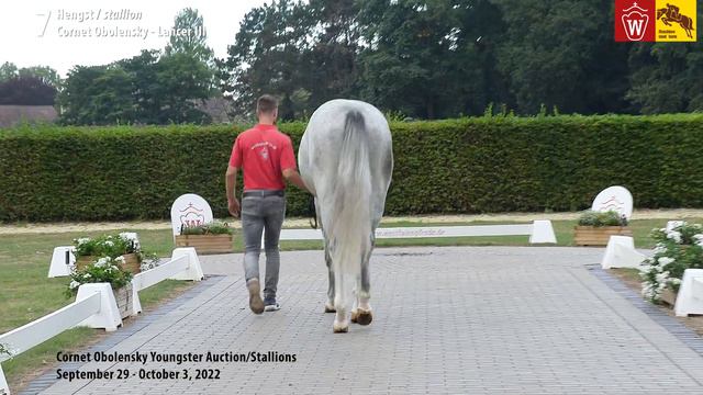 Cornet Obolensky Youngster Auction Lot 07 Cinzano Blue Hengst v. Cornet Obolensky - Lancer III смотреть онлайн