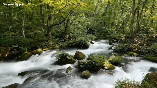 Музыка для медитации с Тибетскими чашами и частотой 432 Гц смотреть онлайн