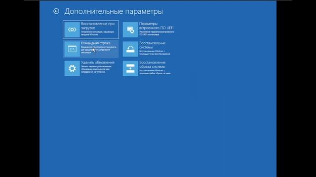 обзор на вирус вин 11 смотреть онлайн