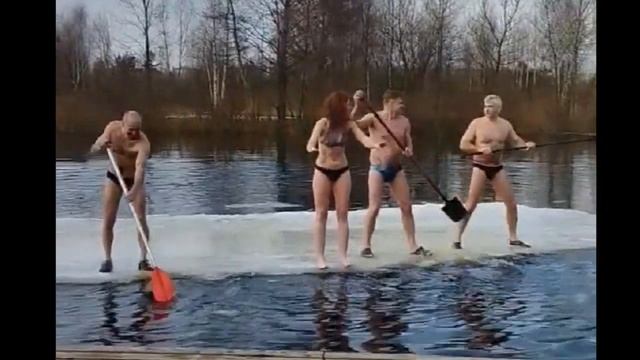 Моржи СК "Каяк"- Борисов греются на льдине. смотреть онлайн