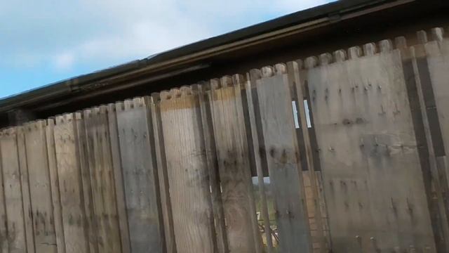 Как строить вольер для фазанов с нуля ЧАСТЬ 1. Разведение фазанов дома. смотреть онлайн