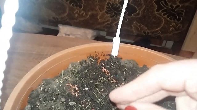 Строительные Решения