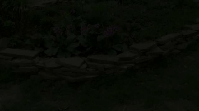 Бордюр для клумб смотреть онлайн