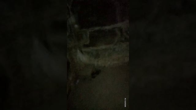 secret chamber for kings discussion ? смотреть онлайн