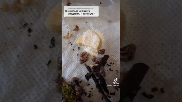 Что делать с яйцами улиток? Snails for you смотреть онлайн
