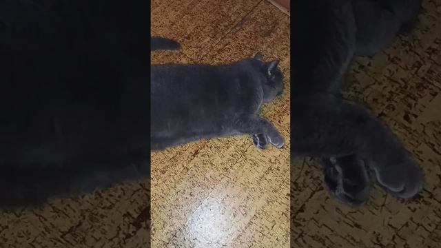 Срочная новость!!! Учёные выяснили!!!)))