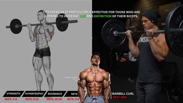How To Get Bigger Biceps Workout To Build Big Arms смотреть онлайн