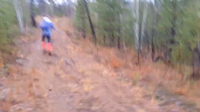 0131104 Гора Волчиха смотреть онлайн