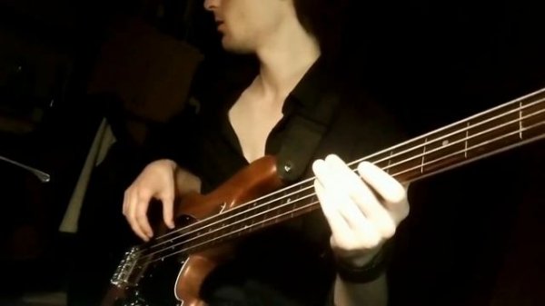 Pink Floyd - Hey You Fretless BASS cover