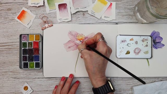 Watercolour For Beginners - Rose