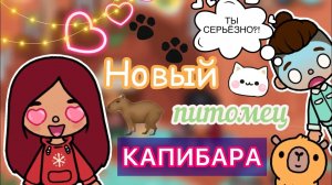 Новый питомец КАПИБАРА ??? _ Toca Life World  _ тока бока _ toca boca _ Secret Toca