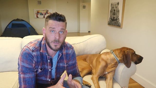 Bloodhound Review смотреть онлайн