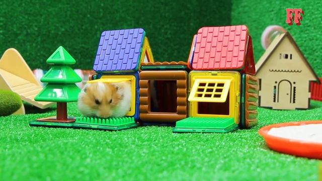 ?Halloween Hamster Maze With Traps ?[Obstacle Course]? + Bonus Funny Hamster Adventure