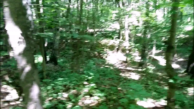 Пейзажи Битцевского парка смотреть онлайн