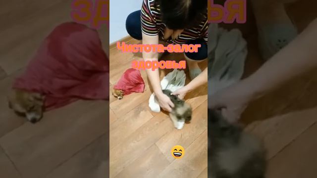 Беспризорники. Кому отдать? смотреть онлайн