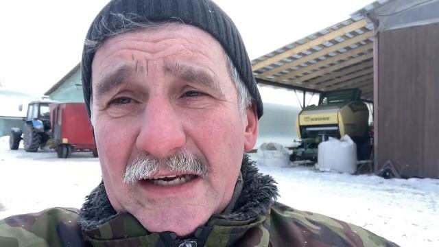 Доход в день от одного бычка против дойной коровы смотреть онлайн
