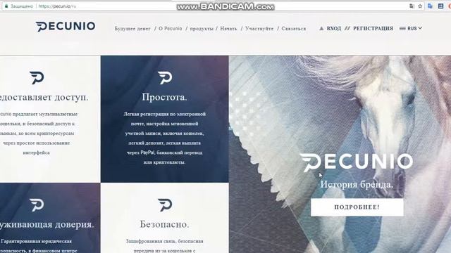 Обзор проекта Pecunio смотреть онлайн