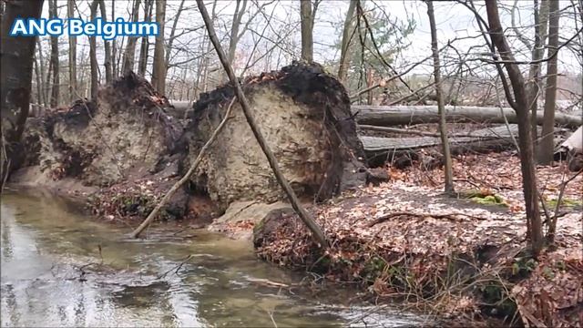 Ритмы Позитива