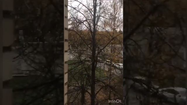 Уютная 2-к на въезде в Зеленоград смотреть онлайн
