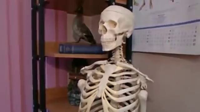 Полувековой юбилей мытищинского лицея №23 смотреть онлайн