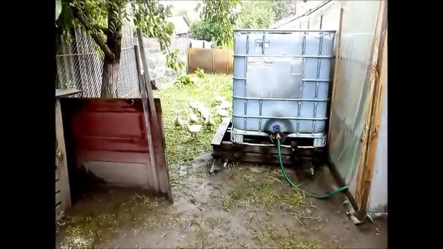 Утки муларды - в возрасте 1 месяц!!! смотреть онлайн