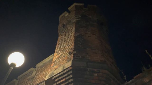Калининград. Хомлины смотреть онлайн