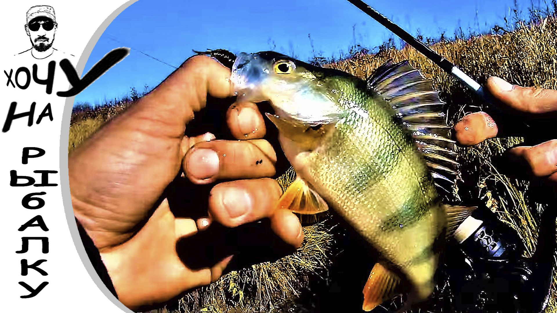 Закрытие сезона жидкой воды на протоке со спиннингом. Рыбалка 03.10.2019 смотреть онлайн