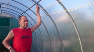 Устройство подвязок в теплице