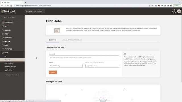 How to Create and Manage Cron Jobs in Site Tools смотреть онлайн