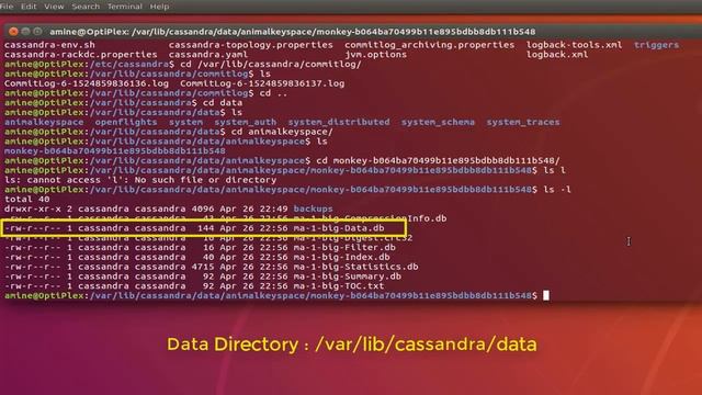 Apache Cassandra Important Directories On Ubuntu Linux смотреть онлайн