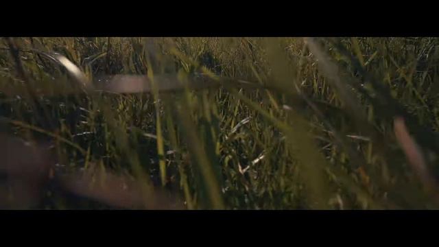 Свадебное видео | MEADOW | Свадебный видеограф Kate Borz | Свадебный клип | Видеосъемка СПб смотреть онлайн