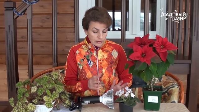 Фитолампы для рассады  Светодиодные лампы Биколор