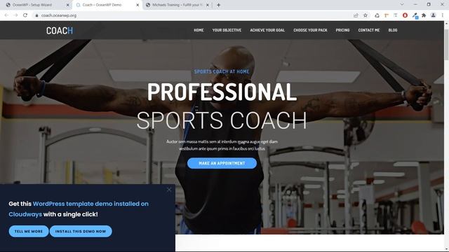 How To Create a WordPress Portfolio Website with Elementor and Oceanwp theme смотреть онлайн