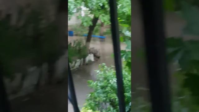 наша арычная система в 4 аксае не справляется , апыки в жутком состоянии!!!! смотреть онлайн