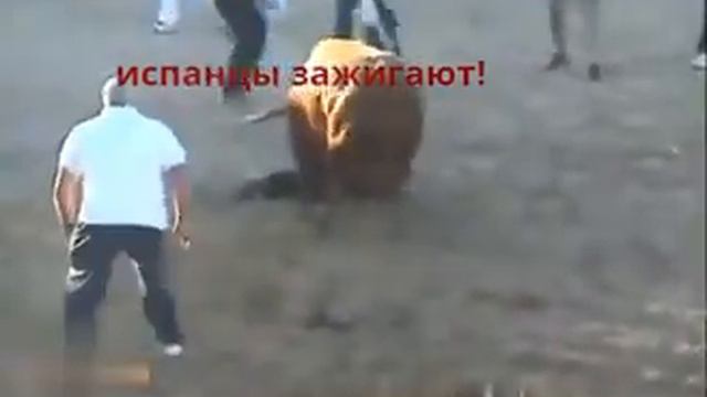 развлекается кто как может, коррида.бык психанул смотреть онлайн