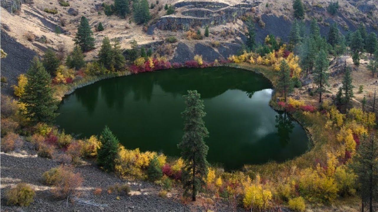 Разделенность эго и единство сердца смотреть онлайн