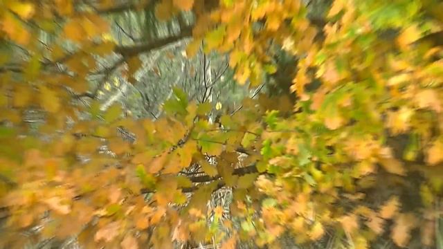 Преддверие зимы смотреть онлайн