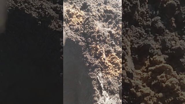 8 марта в поле смотреть онлайн