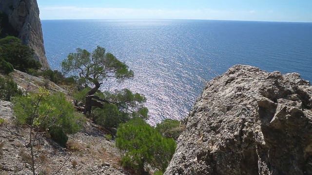 Новый свет смотреть онлайн