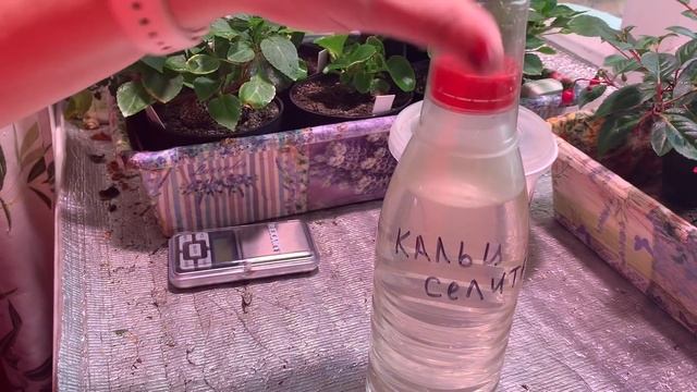 ?КАЛЬЦИЕВАЯ СЕЛИТРА? ПОДКОРМКА ЭУСТОМЫ, ПЕТУНИИ, БЕГОНИИ, ПЕЛАРГОНИИ, ФУКСИИ, ЛОБЕЛИИ, БАЛЬЗАМИНОВ