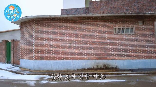 드디어 끝이 보이는 건물 공사/홍산 문화 살롱/추지당(Country Story of City Couple EP.574) смотреть онлайн