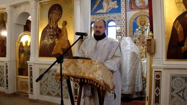 Рождественское послание митрополита Павла (07.01.20) смотреть онлайн