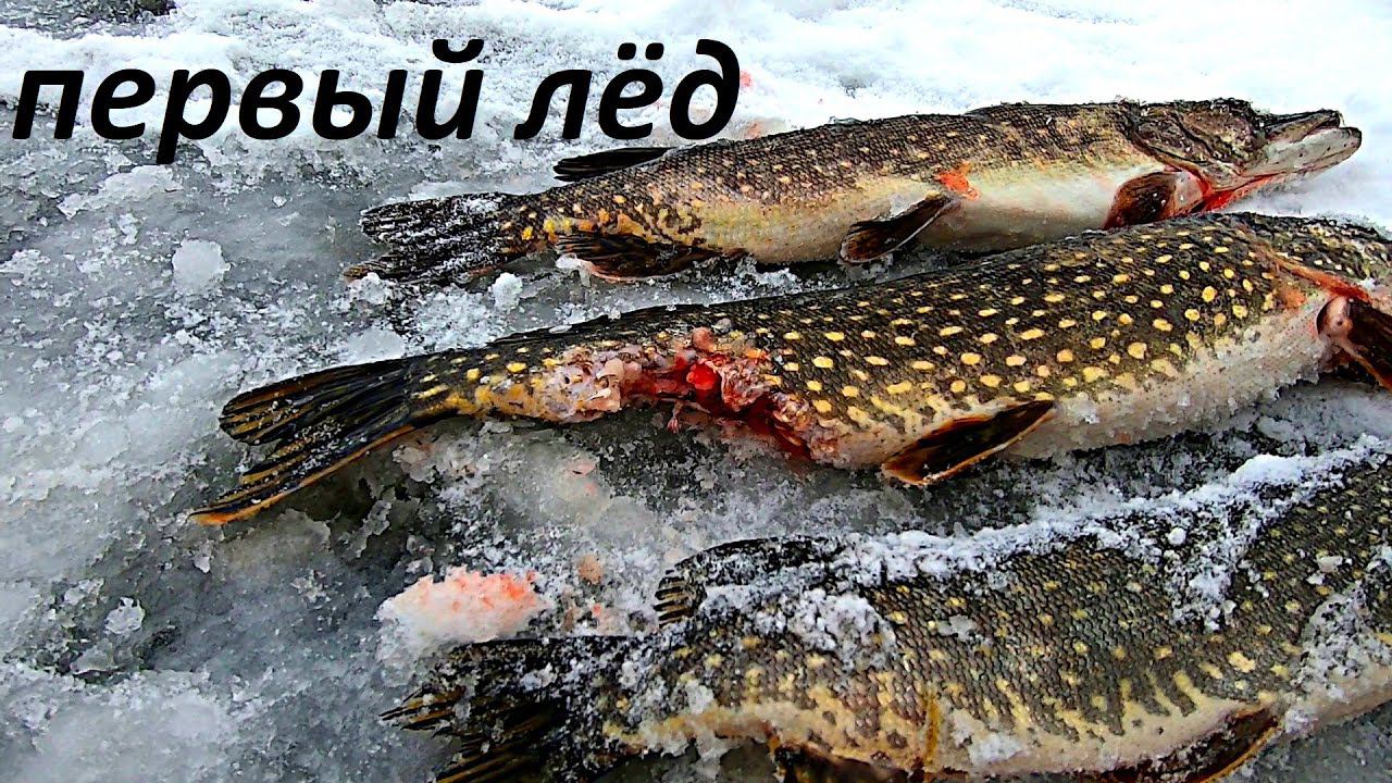 ПЕРВЫЙ ЛЁД - ОПАСНЫЙ И ЩЕДРЫЙ!!! РЫБАЛКА НА ЖЕРЛИЦЫ / MAX HUNTER смотреть онлайн