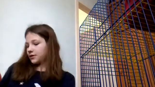 Что нужно белочке породы дегу? Смотри в ролике смотреть онлайн