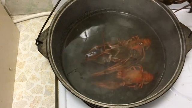 Фильмы ужасов и Триллеры